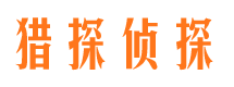 集贤市场调查